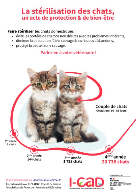 Campagne de stérilisation des chats errants – Année 2021 – Estinnes  Actualités